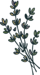Botanical Sprig SVG Rustic Foliage Vector