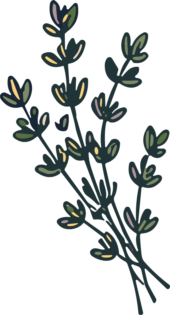 Botanical Sprig SVG Rustic Foliage Vector - Image 1