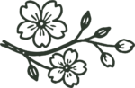 Cherry Blossom Branch SVG Delicate Sakura Vector