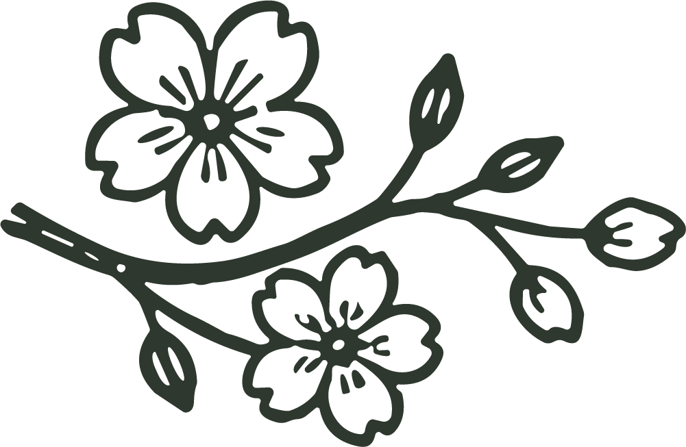 Cherry Blossom Branch SVG Delicate Sakura Vector