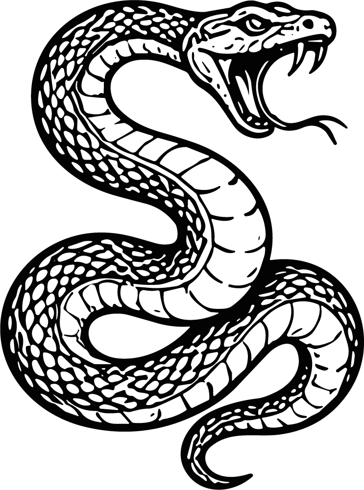 Coiled Snake SVG Bold Black Line Vector