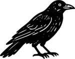 Crow SVG Bold Silhouette Vector
