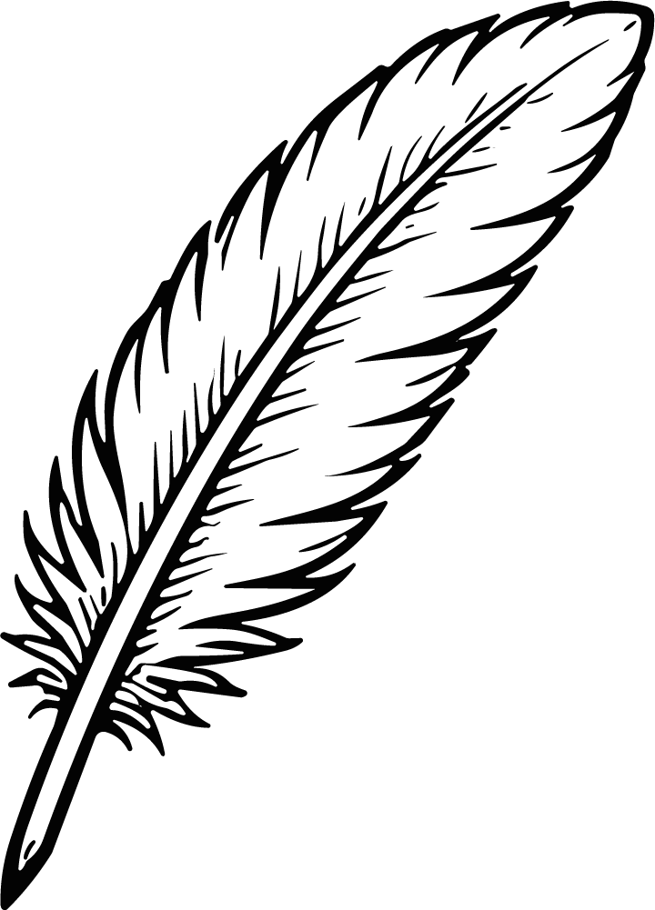 Feather SVG Bold Outline Vector