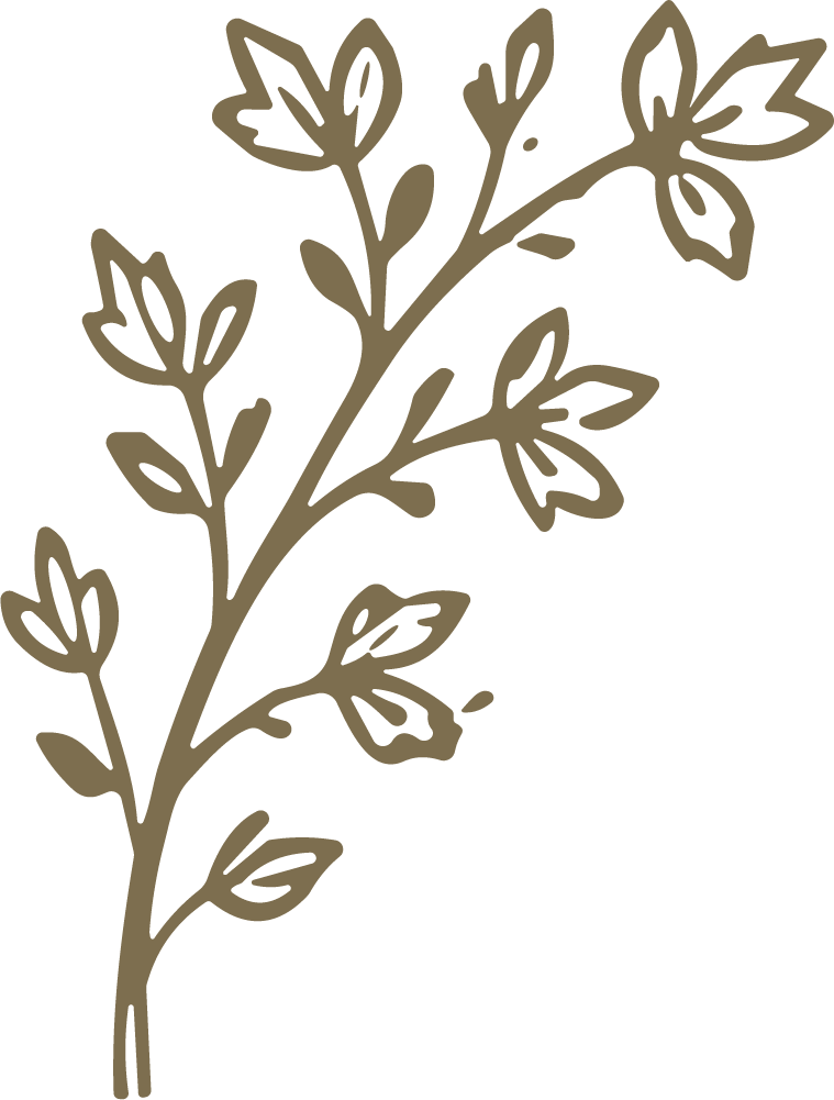 Flowering Branch SVG Delicate Botanical Vector