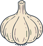 Garlic Bulb SVG Rustic Sketch Vector