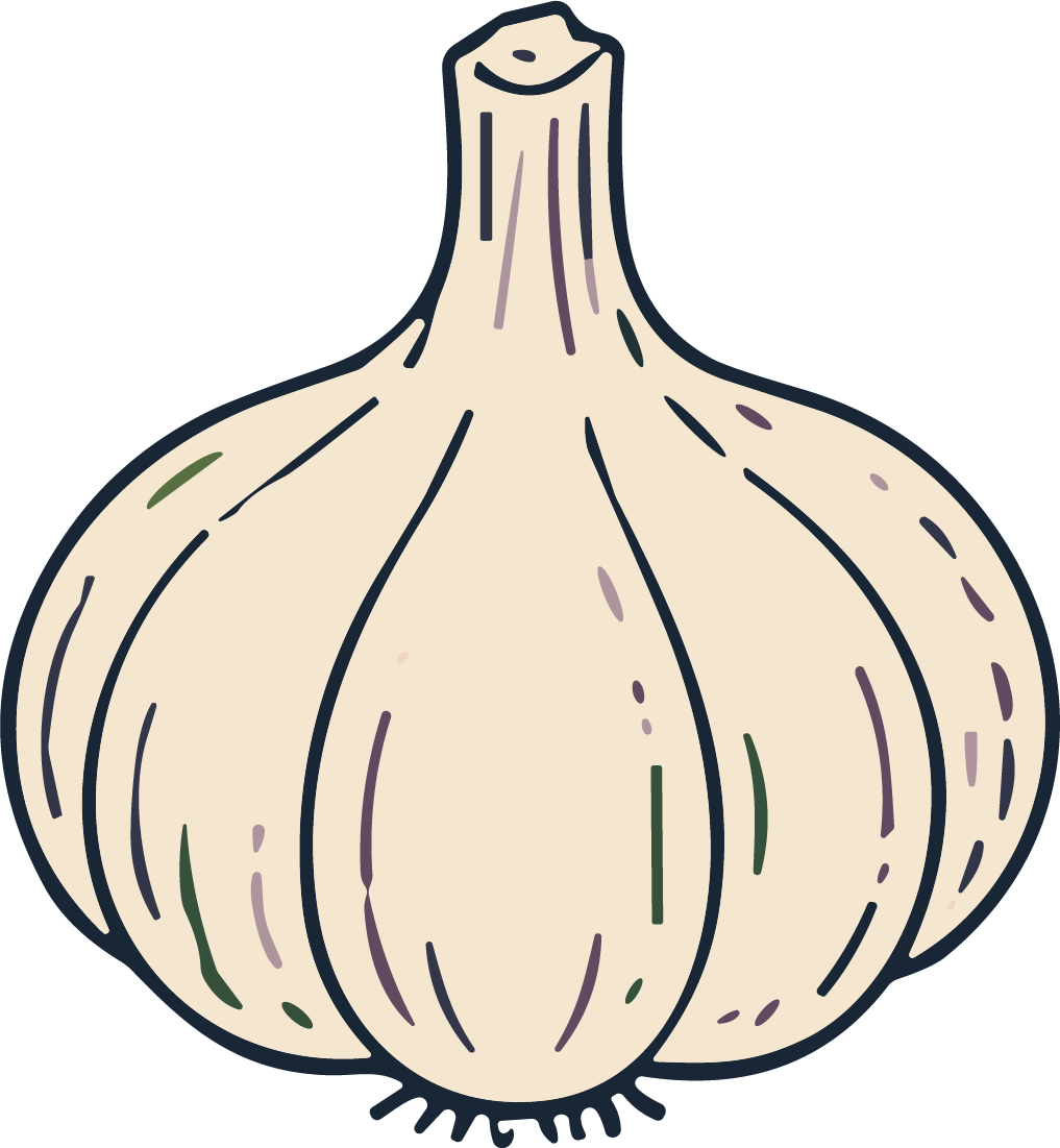 Garlic Bulb SVG Rustic Sketch Vector - Image 1