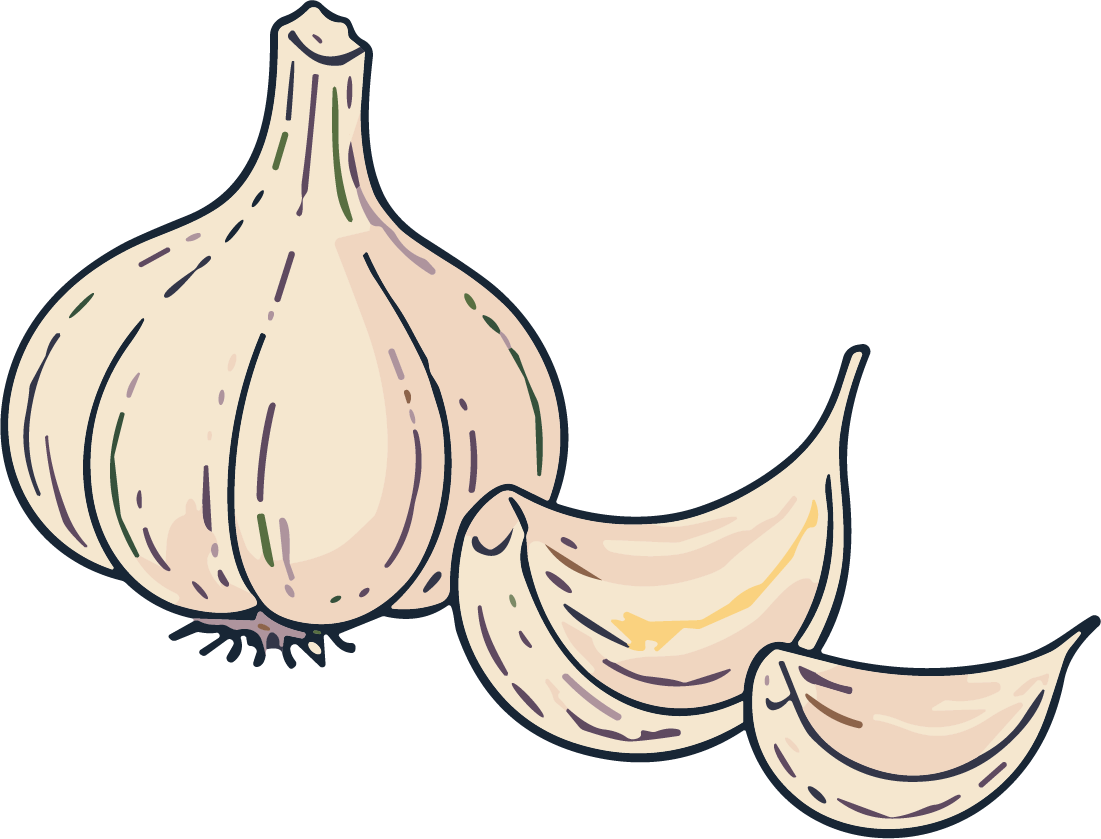 Garlic Bulb SVG Rustic Sketch Vector - Image 1