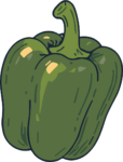 Green Bell Pepper SVG Fresh Garden Vector