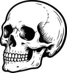 Human Skull SVG Bold Ink Vector