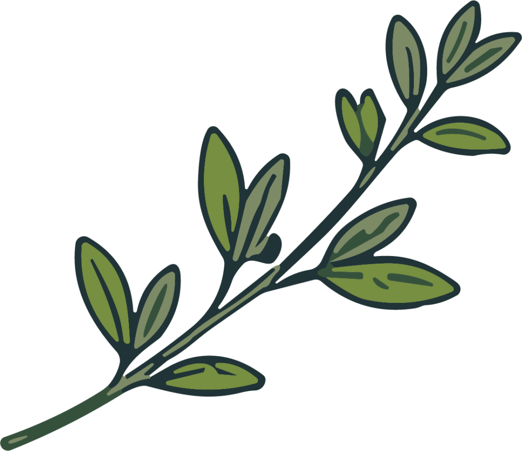 Leaf Branch SVG Rustic Botanical Vector