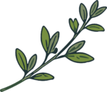 Leaf Branch SVG Rustic Botanical Vector
