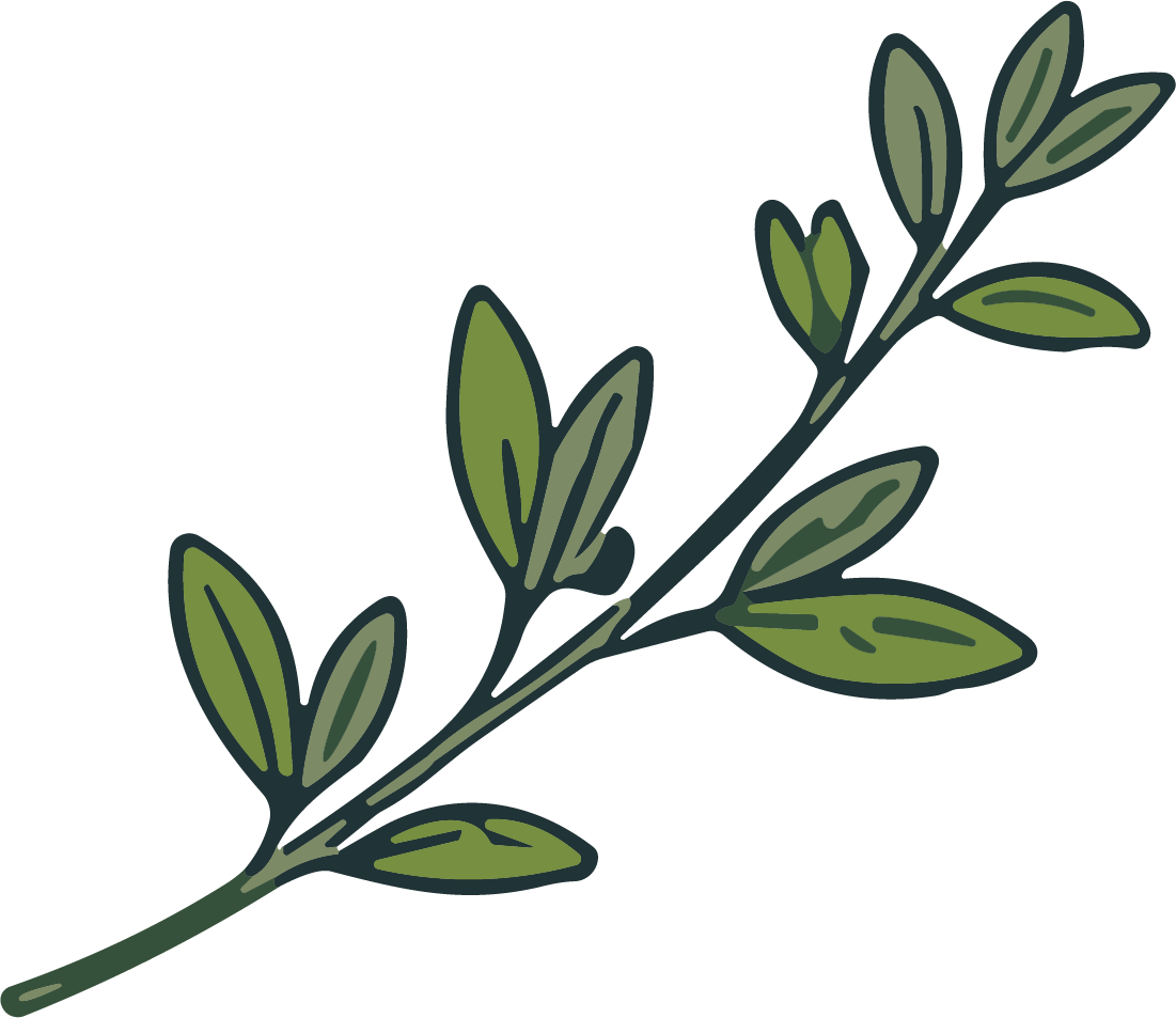 Leaf Branch SVG Rustic Botanical Vector - Image 1