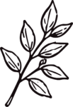 Leaf Branch SVG Bold Outline Vector