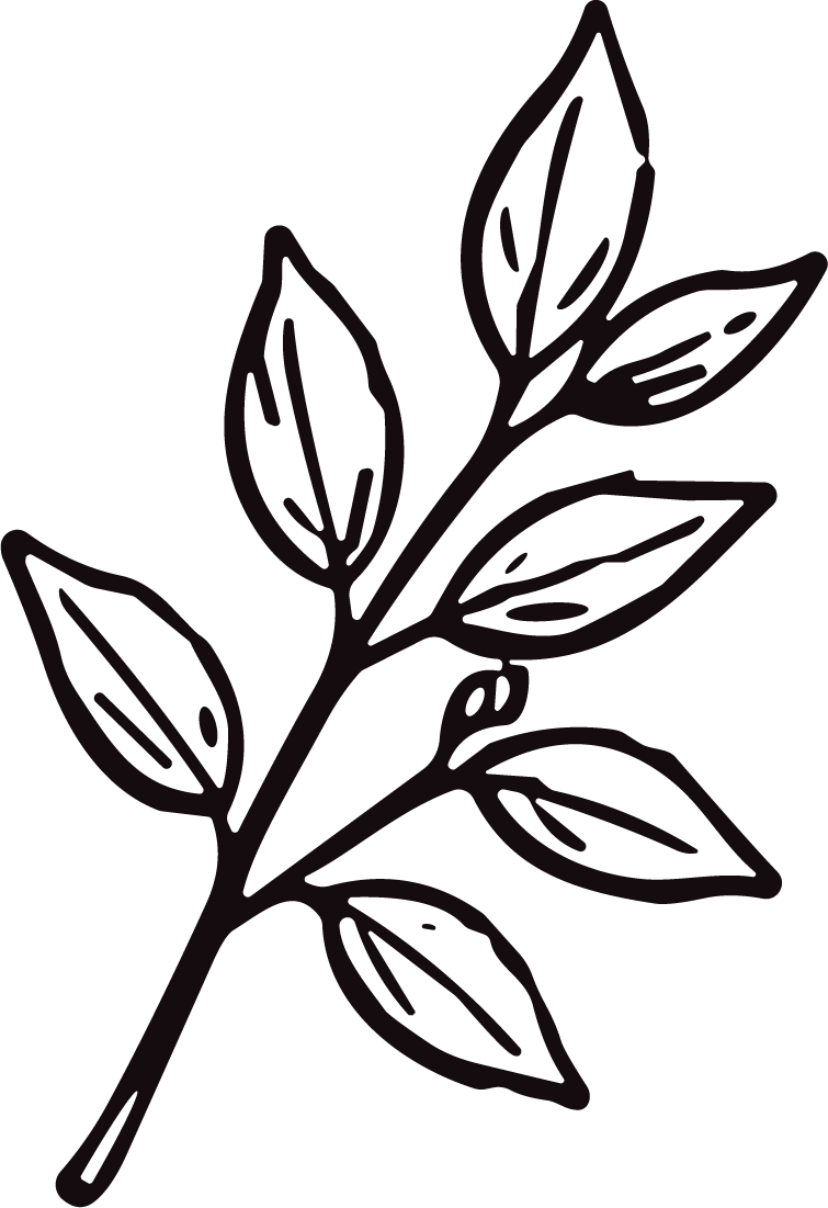 Leaf Branch SVG Bold Outline Vector - Image 1