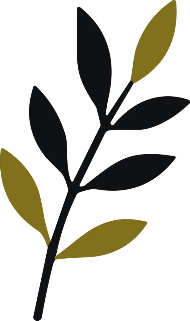 Leaf Branch SVG Botanical Silhouette Vector