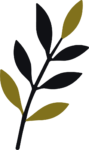 Leaf Branch SVG Botanical Silhouette Vector