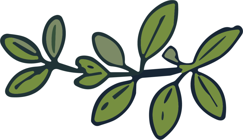 Leaf Branch SVG Botanical Sprig Vector