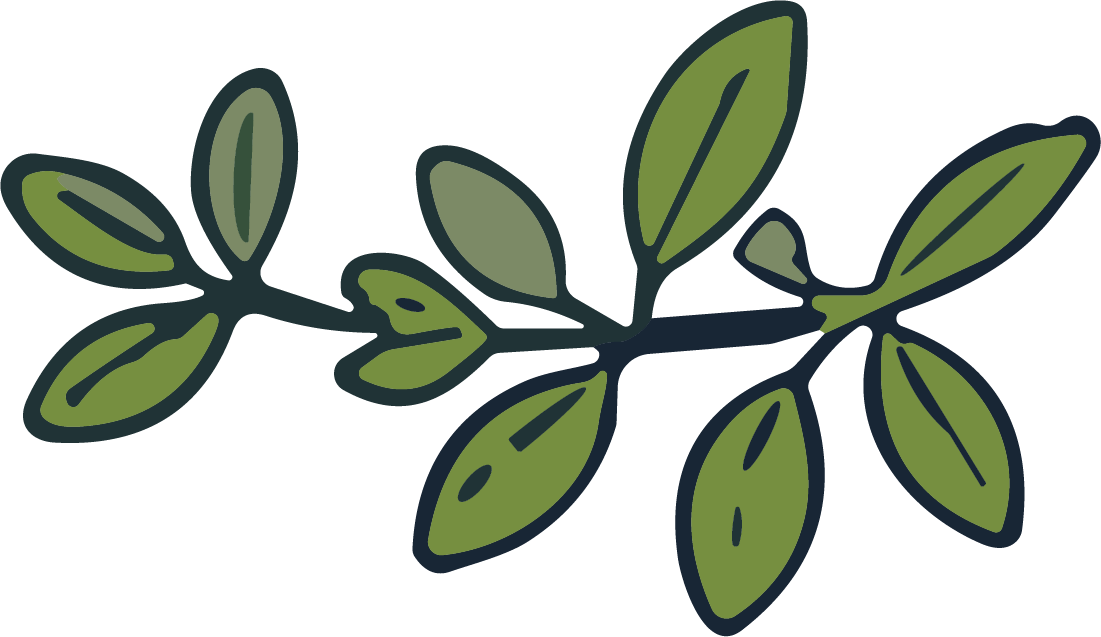 Leaf Branch SVG Botanical Sprig Vector - Image 1