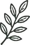 Leaf Branch SVG Organic Outline Vector