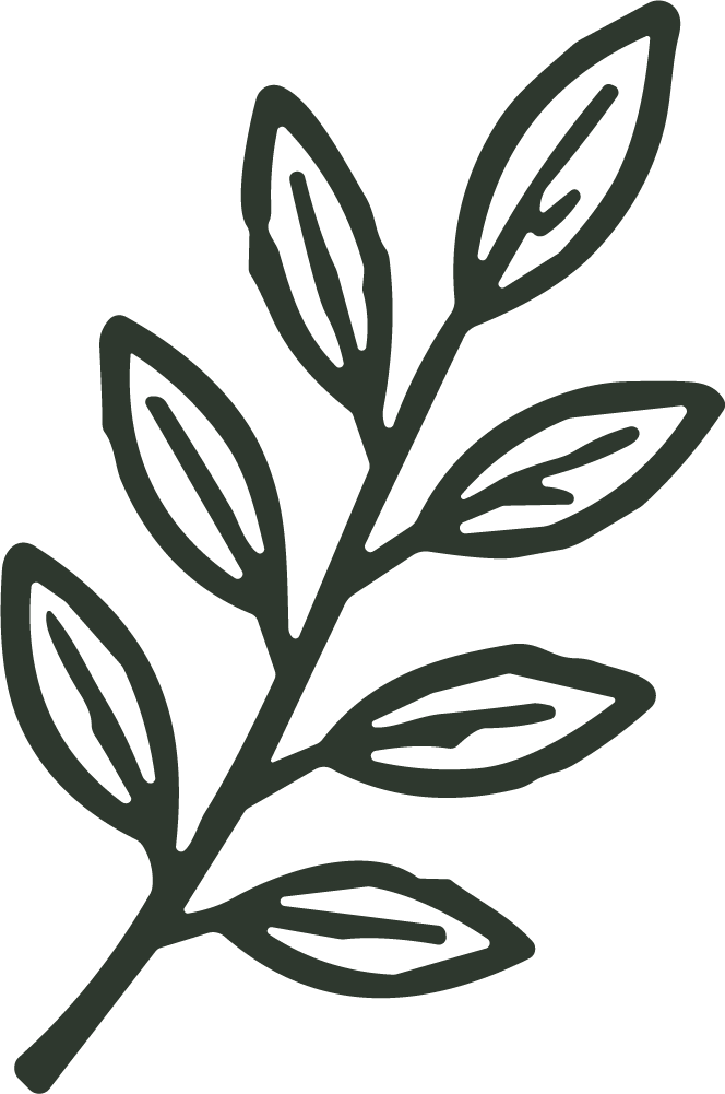 Leaf Branch SVG Organic Outline Vector