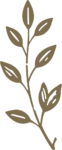 Leafy Branch SVG Rustic Botanical Vector