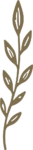 Leafy Branch SVG Delicate Botanical Vector
