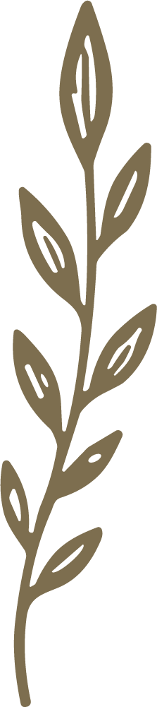 Leafy Branch SVG Delicate Botanical Vector