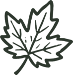 Maple Leaf SVG Bold Outline Vector