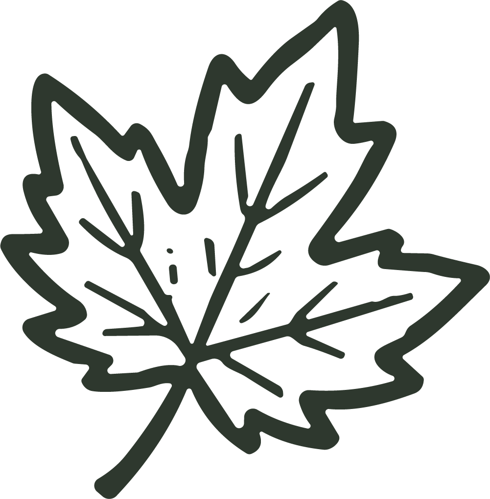 Maple Leaf SVG Bold Outline Vector