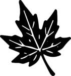 Maple Leaf SVG Bold Autumn Silhouette Vector