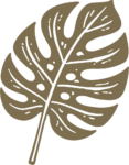 Monstera Leaf SVG Tropical Silhouette Vector