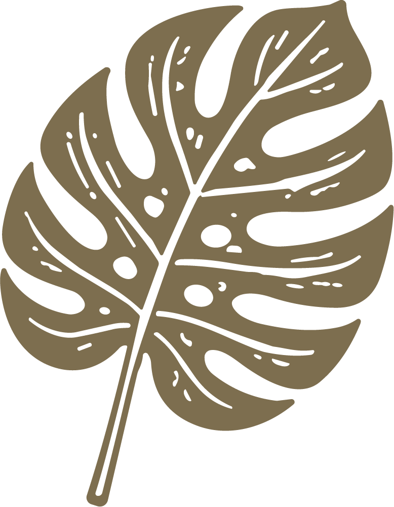 Monstera Leaf SVG Tropical Silhouette Vector