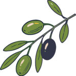 Olive Branch SVG Rustic Botanical Vector