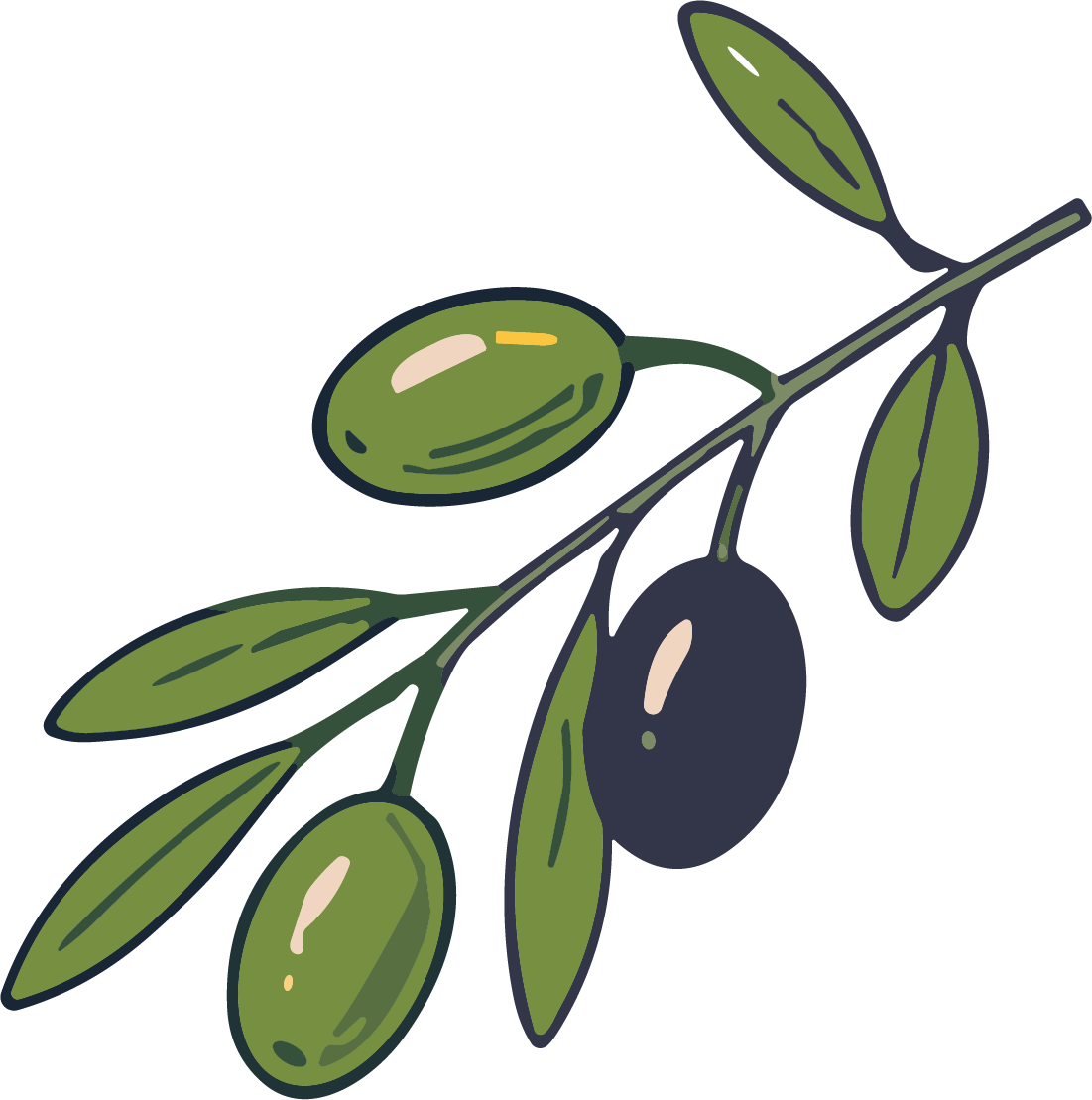 Olive Branch SVG Rustic Botanical Vector - Image 1