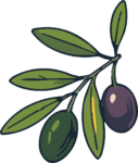 Olive Branch SVG Rustic Harvest Vector