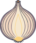 Onion SVG Rustic Illustration Vector
