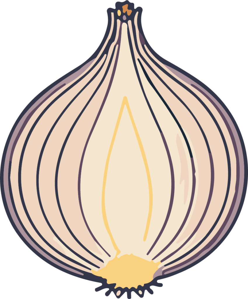 Onion SVG Rustic Illustration Vector
