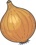 Onion SVG Rustic Line Art Vector