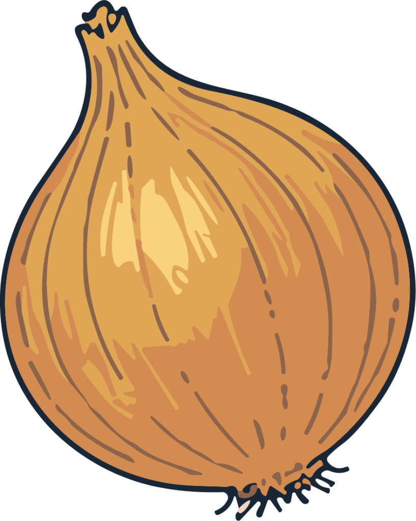 Onion SVG Rustic Line Art Vector