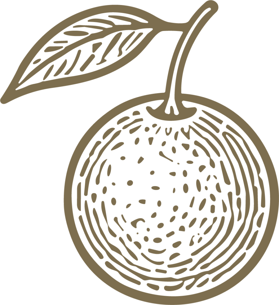 Orange Fruit SVG Textured Line Art Vector