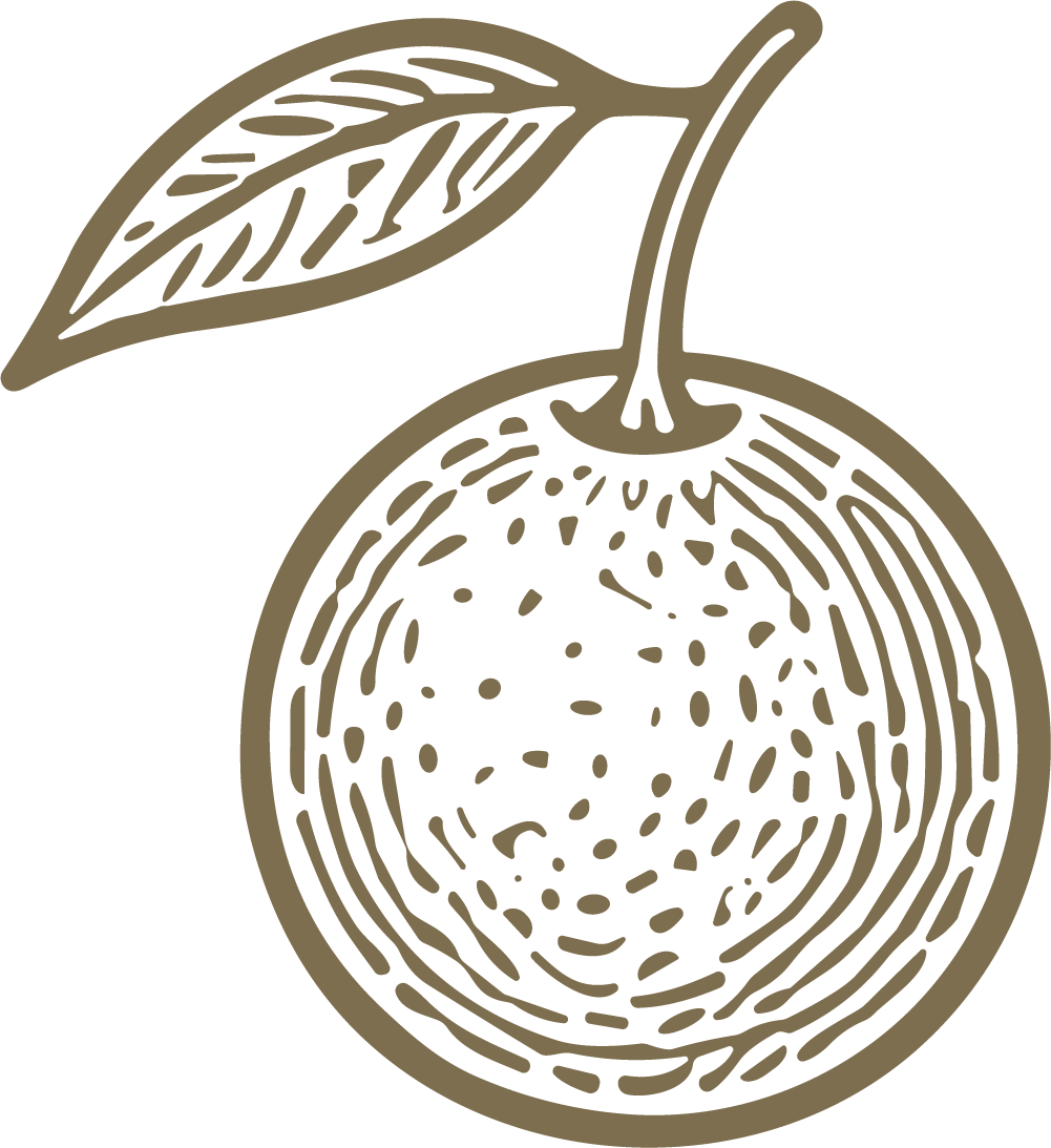Orange Fruit SVG Textured Line Art Vector - Image 1