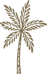 Palm Tree SVG Tropical Sketch Vector