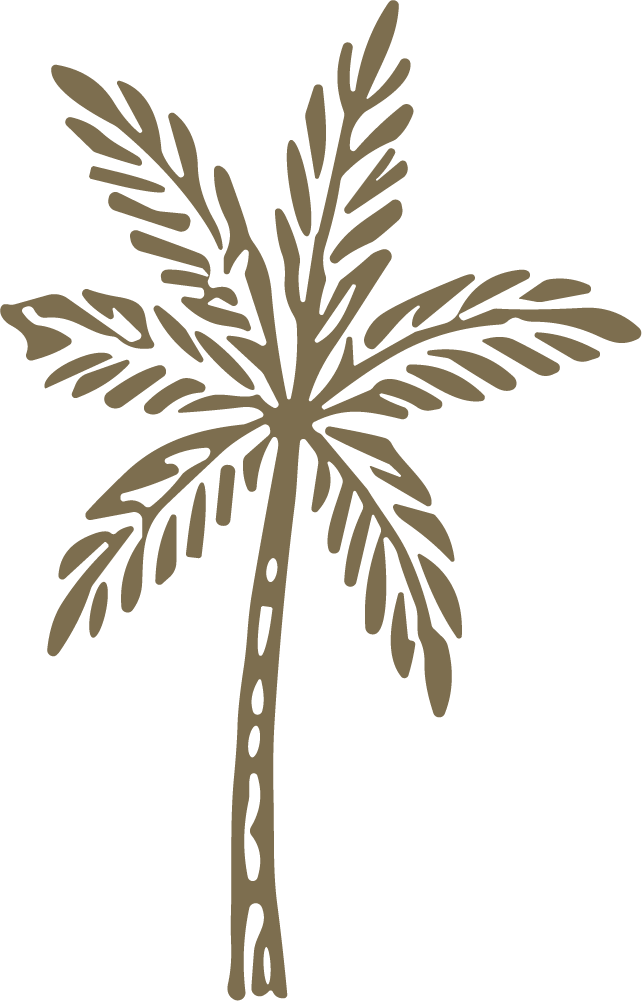 Palm Tree SVG Tropical Sketch Vector