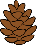 Pine Cone SVG Rustic Woodland Vector