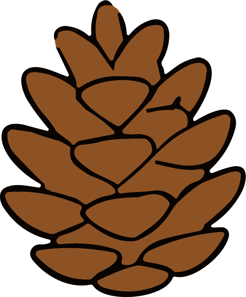 Pine Cone SVG Rustic Woodland Vector