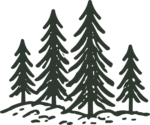 Pine Trees SVG Rustic Forest Vector