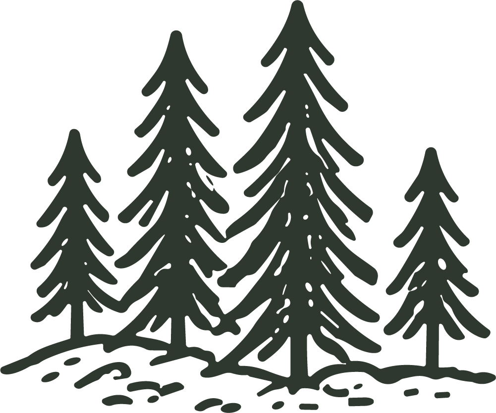Pine Trees SVG Rustic Forest Vector