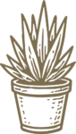 Potted Spiky Plant SVG Rustic Sketch Vector