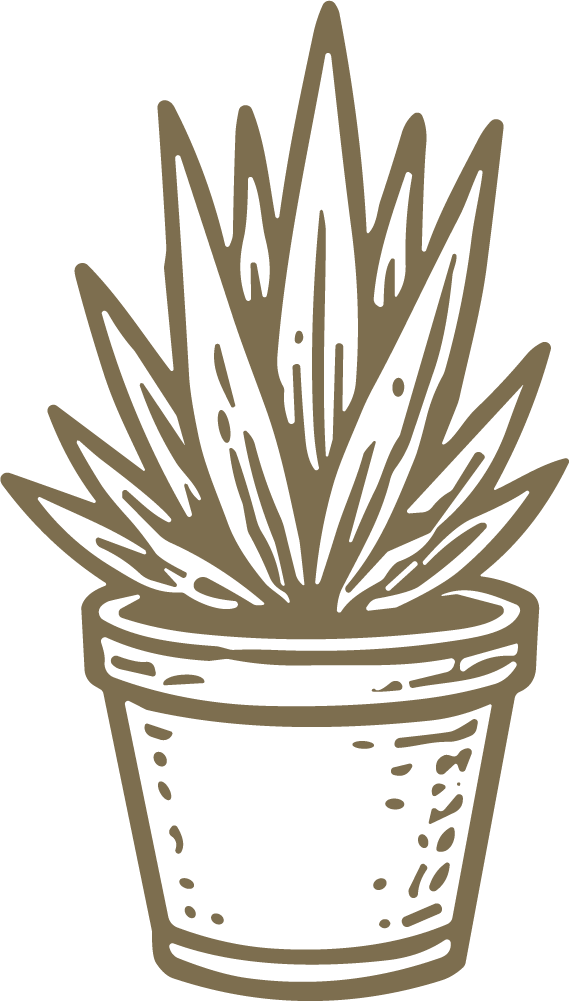 Potted Spiky Plant SVG Rustic Sketch Vector