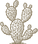 Prickly Pear Cactus SVG Desert Sketch Vector